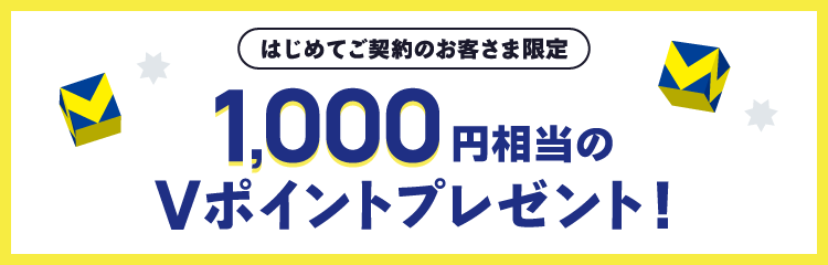 1,000円相当のVポイントプレゼント！