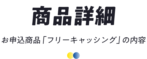 商品詳細お申込商品「フリーキャッシング」の内容