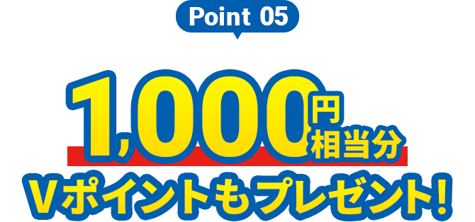 Point5 1,000円相当分Vポイントもプレゼント